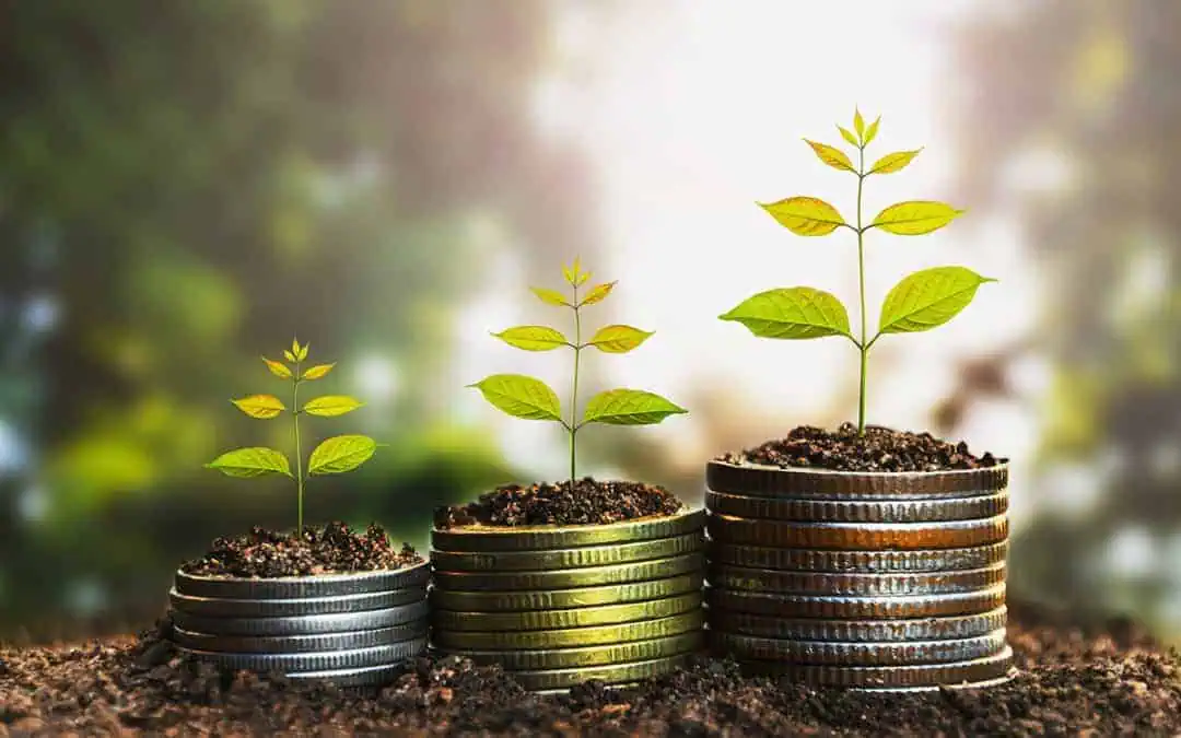 plants on top of coin stacks